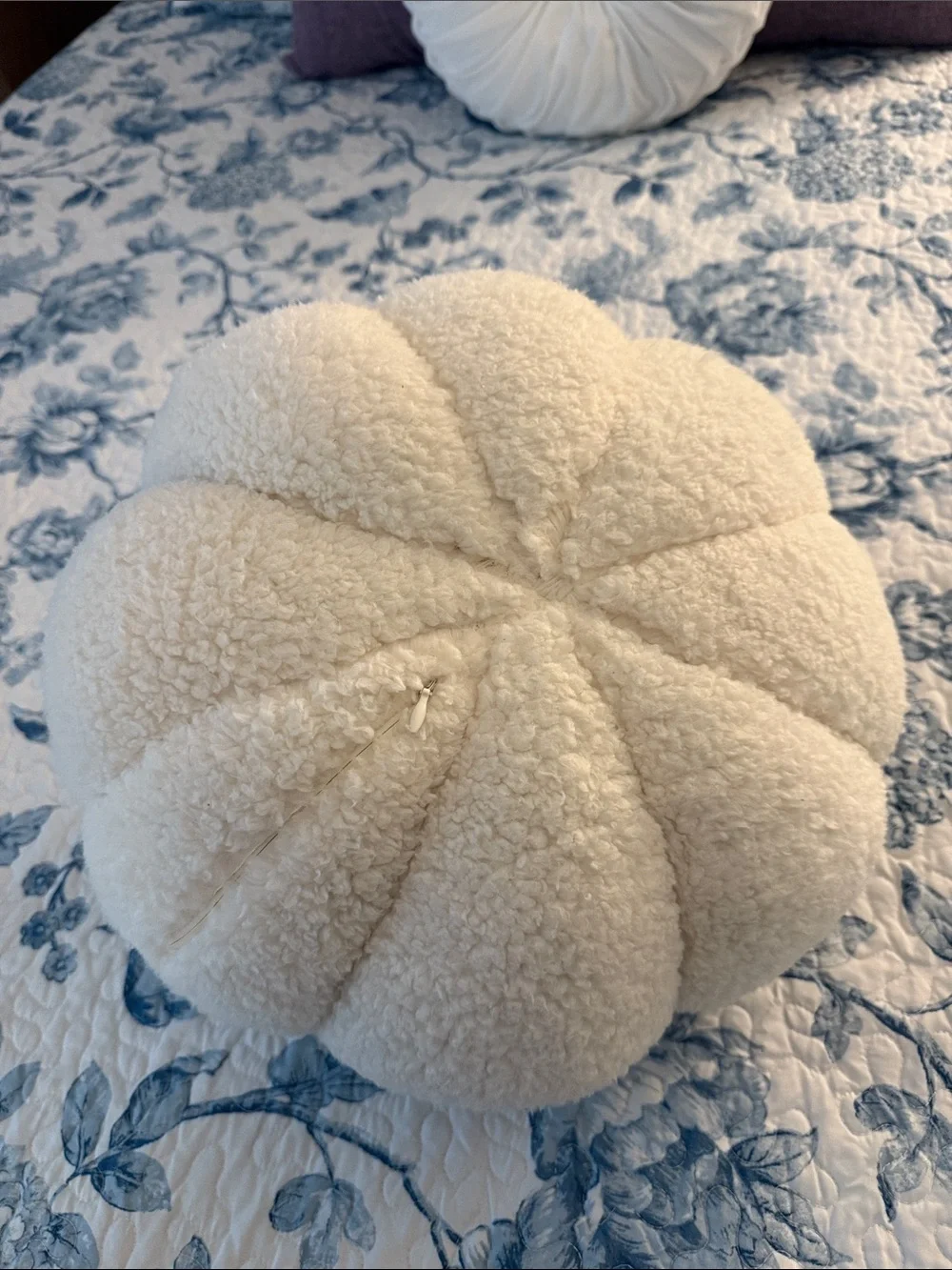 Costco soft plush